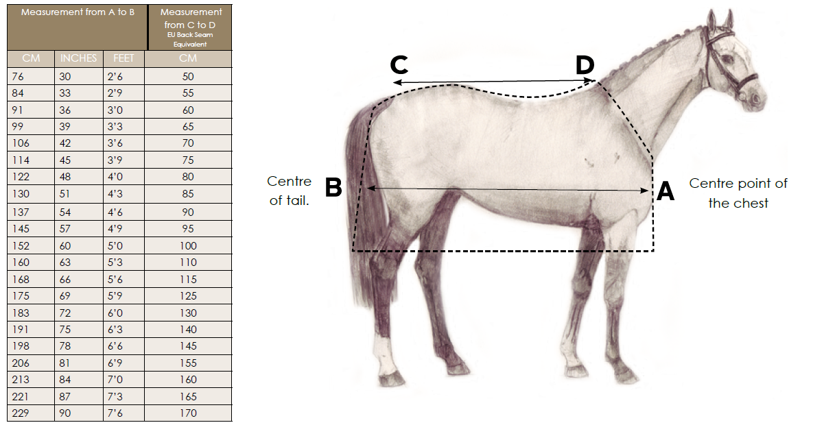 tableau des tailles horseware