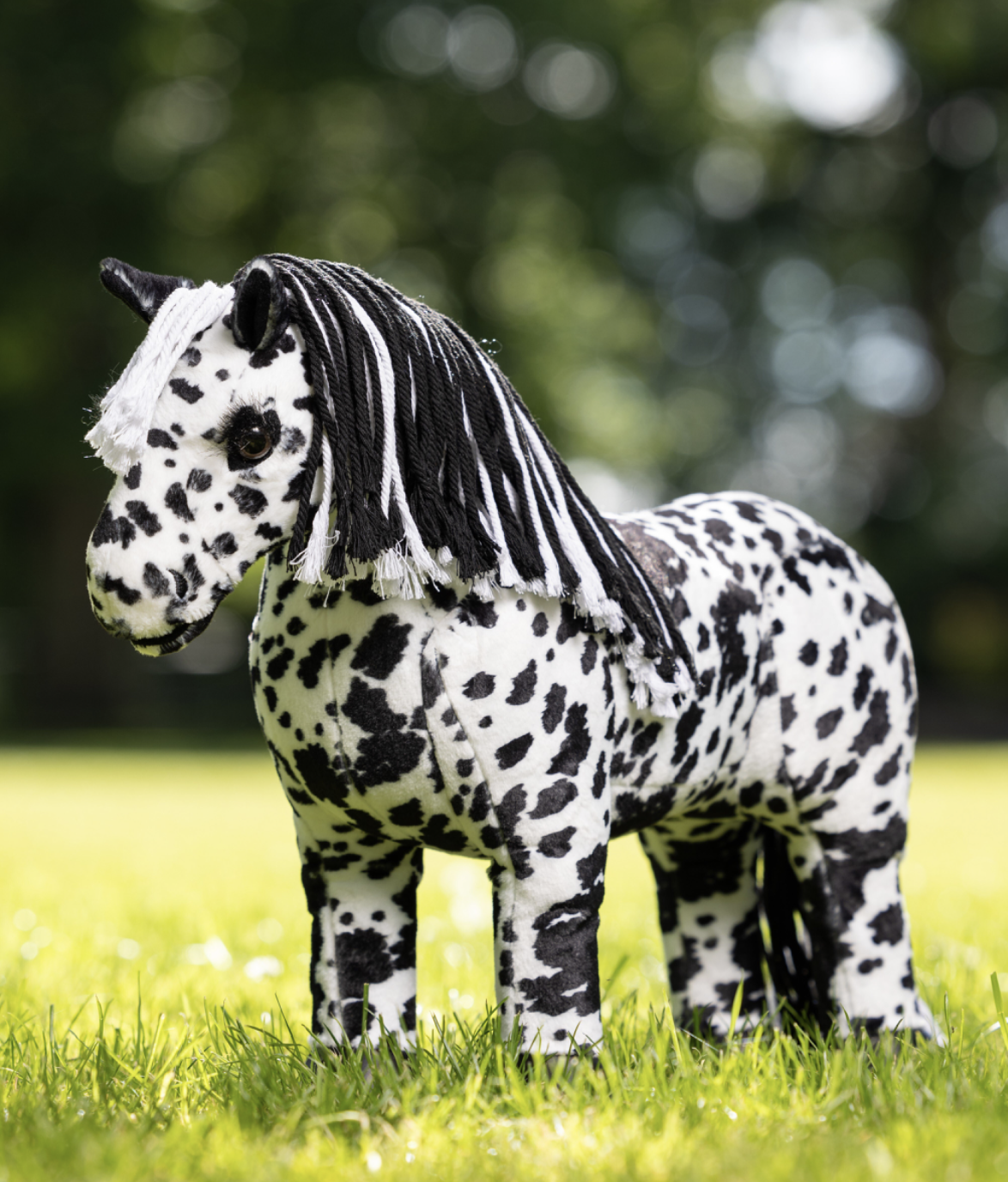 toy-pony-dakota
