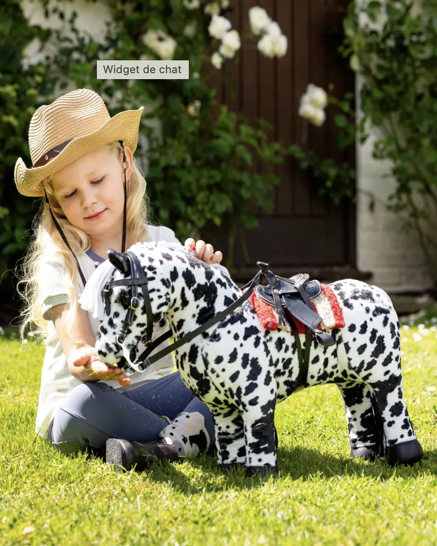 toy-pony-dakota-2