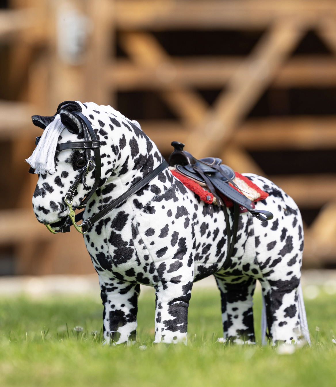 toy-pony-dakota-1`