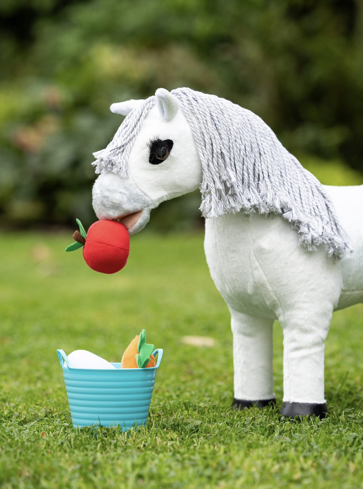 seau-toy-pony