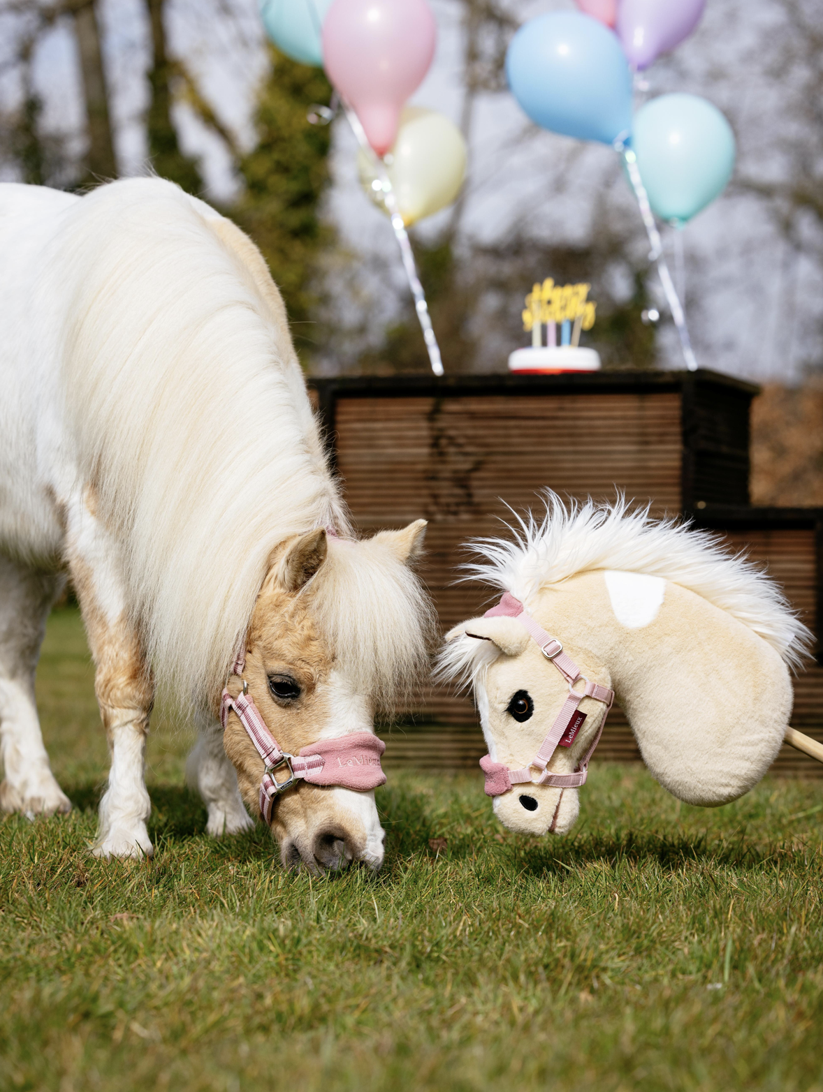 hobby-horse-lemon-1