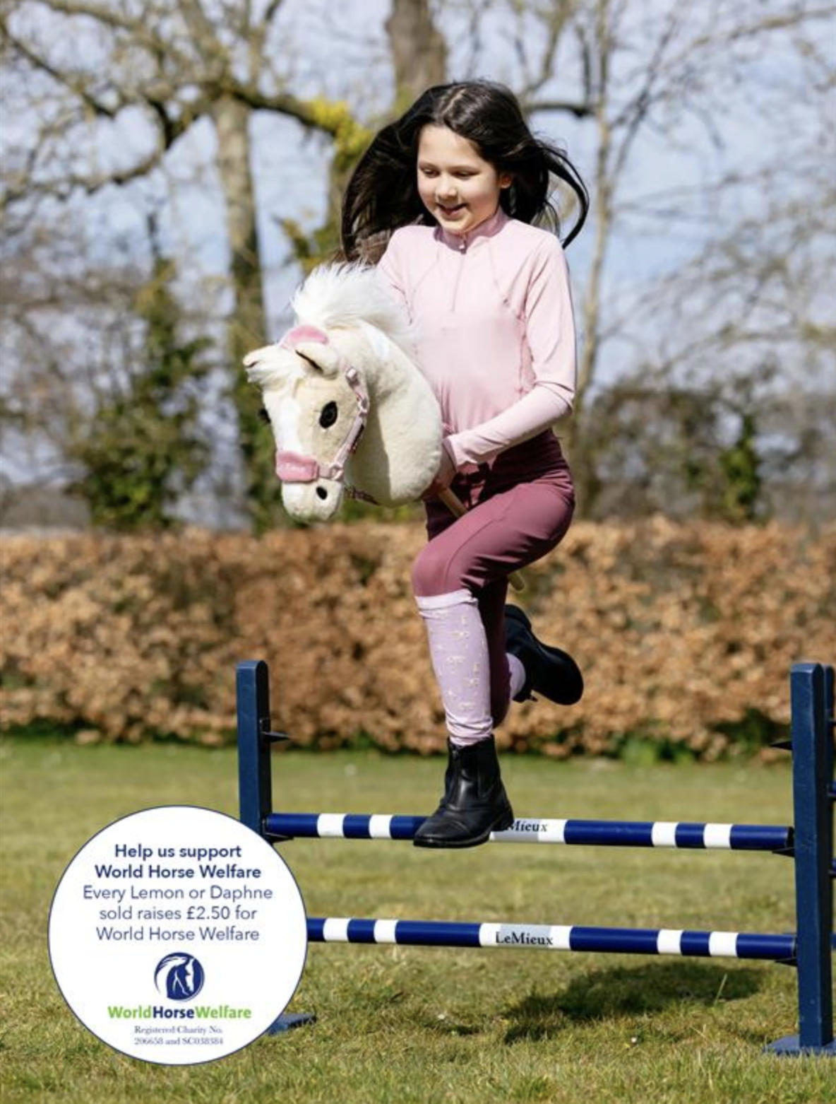 hobby-horse-lemon-2