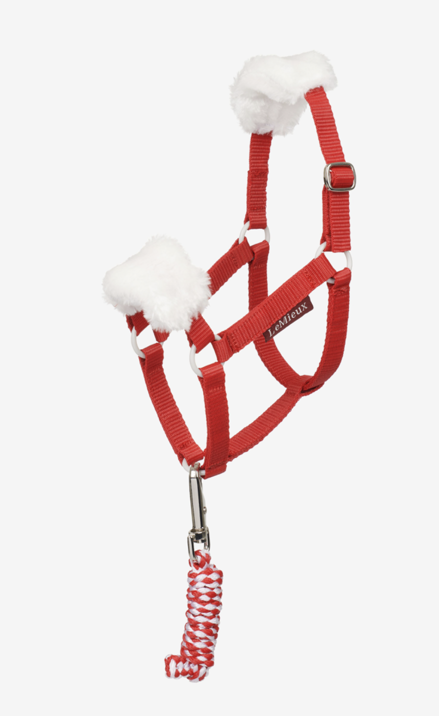 licol-noel-hobby-horse