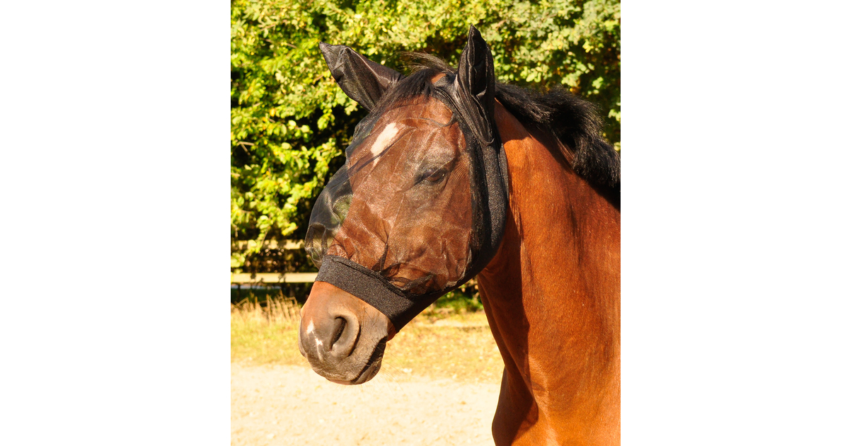 Masque Anti-Mouches CASHEL CRUSADER Pour Cheval - Taille