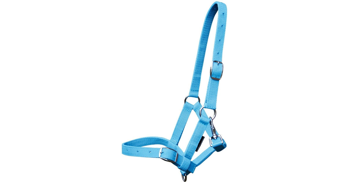 QHP Licol Réglable Pour Poulain – Nylon, 3 Points, Acier Inox, 4 Tailles Et 6 Couleurs (bleu)