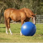 ballon-qhp-jeu-2