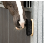 brosse-dure-aimant-qhp-3