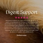 digest-support-complément-alimentaire-3
