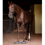 semelles-équilibre-cheval-waldhausen-4