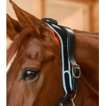 nuque-cervicale-cheval-vibrant-massage-11