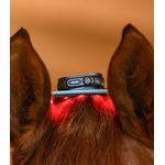 nuque-cervicale-cheval-vibrant-massage-14