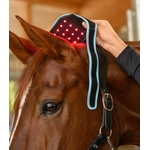 nuque-cervicale-cheval-vibrant-massage-12