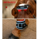 nuque-cervicale-cheval-vibrant-massage