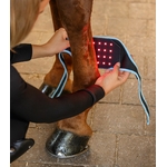 nuque-cervicale-cheval-vibrant-massage-1°