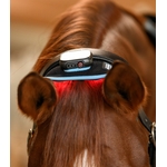 nuque-cervicale-cheval-vibrant-mjassage-12