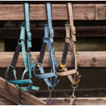 licol-et-longe-crystal-harry-horse-teal1