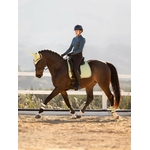 tapis-de-selle-lemieux-suede-dressage-macaron-vert