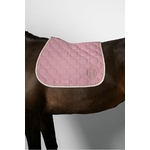 wimpel-tapis-de-selle-harcour-cso-3