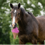 jouet-ecurie-glace-1