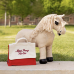 vet-set-lemieux-toy-horse-2