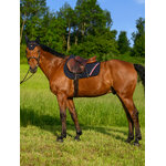 Tapis-de-selle-tommy-hilfiger-stanford-NAVY-3