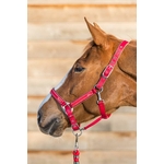 licol lamicell elegance rouge erable 401507_4855