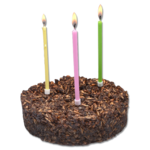 gâteau-d-anniversaire-cake-pour-cheval-stud-muffins