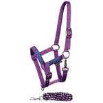 licol-et-longe-diva-purple-mauve-shet-31002350_paars