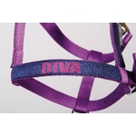 licol-et-longe-diva-purple-mauve-shet-31002350_paars-2