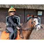 accessoires-halloween-citrouilles-têtiere-cheval-deguisement