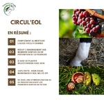 circul-eol-circulation-cheval-plantes-naturel2