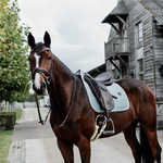 kentucky-horsewear-saddle-pads-saddle-pad-tapis-de-selle-wool-dressage-bleu-ciel