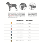 harnais-pour-chien-guide-taille