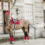 kentucky-velvet-rouge-ensemble