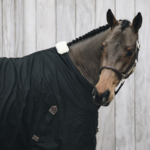 chemise-ecurie-coton-sheet-kentucky-noire3