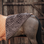 couverture de présentation kentucky orange new limited