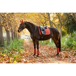siennadressage