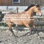CVQLD_Relax_4