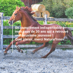 CVQLD_Immune_3