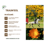 traum-eol-arnica-gel