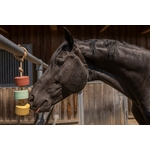 Lollpierre-de-sel-lolly-lick-camomille2y-Licks-13
