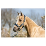 licol-br-mini-horse-navy-232332_L102_41