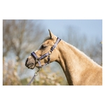 licol-br-mini-horse-mauve-232332_P119_41