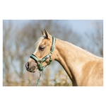 licol-be-mini-horse-vert-232332_G112_41