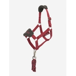licol-pour-hobby-horse-lemieux-ember