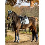 tapis-lemieux-suede-dressage-glacier1
