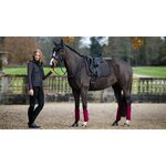 tapis-lemieux-suede-dressage-cinder1