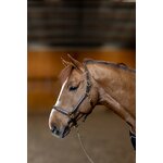 licol-cuir-little-groom-hfi-brun