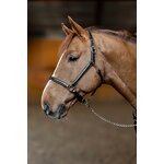 licol-cuir-little-groom-hfi
